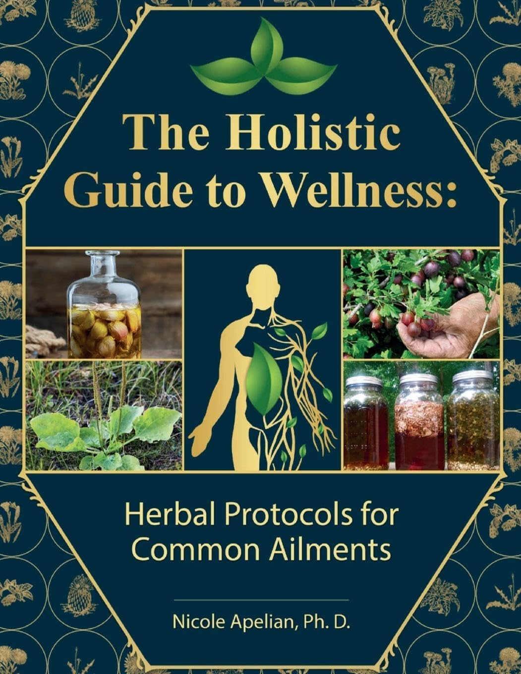 The Holistic Guide to Wellness : Herbal Protocols for Comm