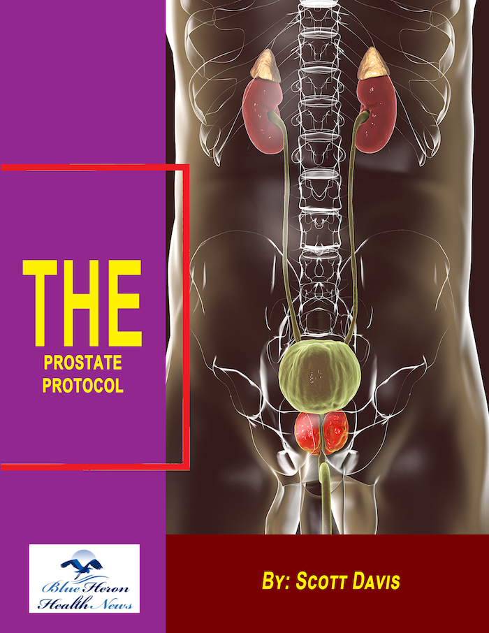 The Prostate Protocol vsl cb