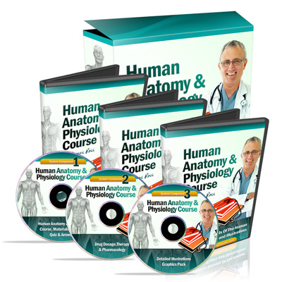The #1 Human Anatomy and Physiology Course - Learn About The Human Body With Illustrations and Pictures