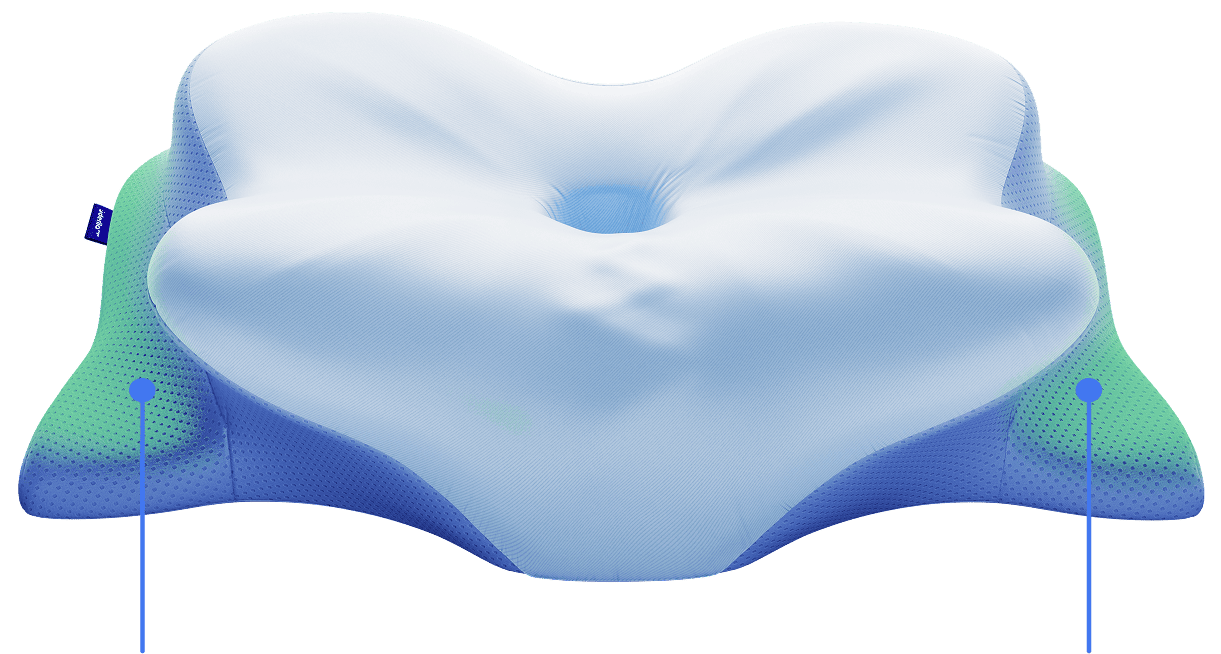 Derila Ergo - America's #1 Pillow Perfected: 75% Off!
